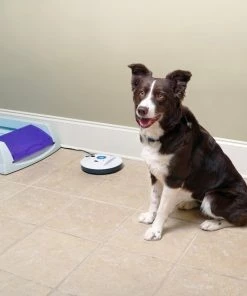 PetSafe Indoor Radio Fence Transmitter for Cats & Dogs -PetSafe Store 160790 PT2. SY630 V1626450131