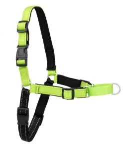 PetSafe Deluxe Easy Walk Nylon Reflective No Pull Dog Harness -PetSafe Store 161202 PT6. SY630 V1658439978