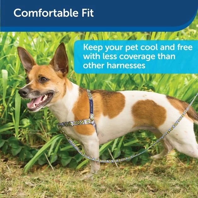 PetSafe Chic Easy Walk No Pull Dog Harness 3 PetSafe Chic Easy Walk No Pull Dog Harness - Image 3