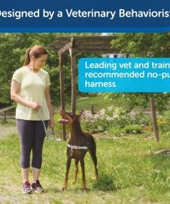 PetSafe Chic Easy Walk No Pull Dog Harness 9 PetSafe Chic Easy Walk No Pull Dog Harness -PetSafe Store 161219 PT3. SY630 V1626449466