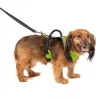 PetSafe EasySport Nylon Reflective Back Clip Dog Harness