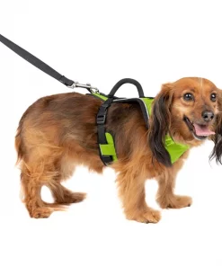 PetSafe EasySport Nylon Reflective Back Clip Dog Harness