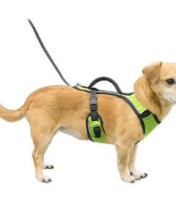 PetSafe EasySport Nylon Reflective Back Clip Dog Harness -PetSafe Store 161232 PT6. SY630 V1649455285