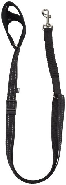PetSafe Sport Nylon Bungee Reflective Dog Leash 1 PetSafe Sport Nylon Bungee Reflective Dog Leash