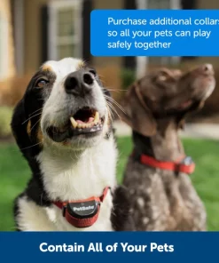 PetSafe Stay & Play Wireless Fence for Stubborn Dogs -PetSafe Store 166181 PT5. SY630 V1657656049