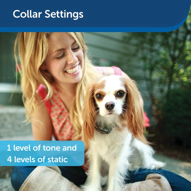 PetSafe Little Dog In-Ground Fence 5 PetSafe Little Dog In-Ground Fence - Image 5