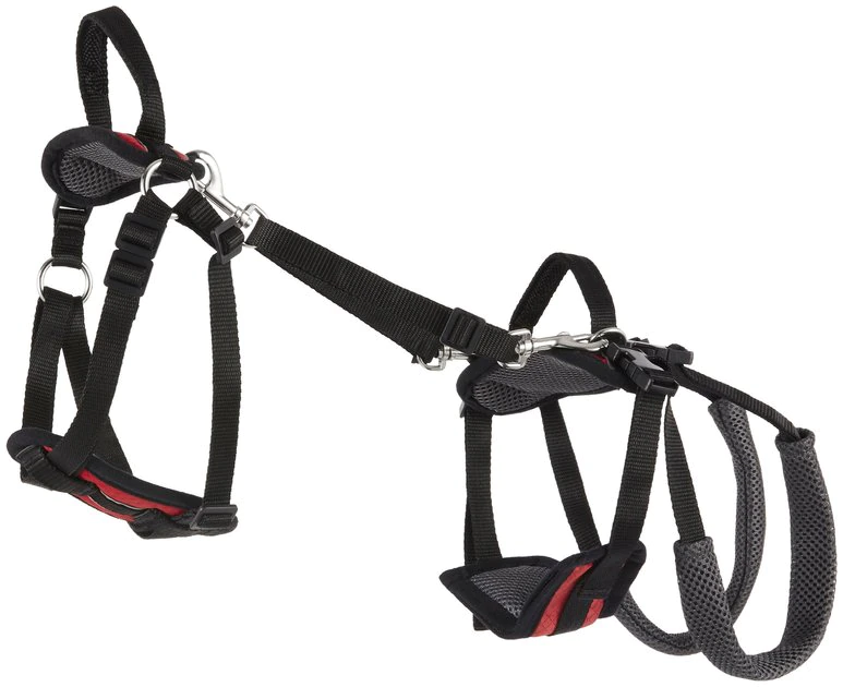 PetSafe CareLift Handicapped Support Dog Harness 1 PetSafe CareLift Handicapped Support Dog Harness