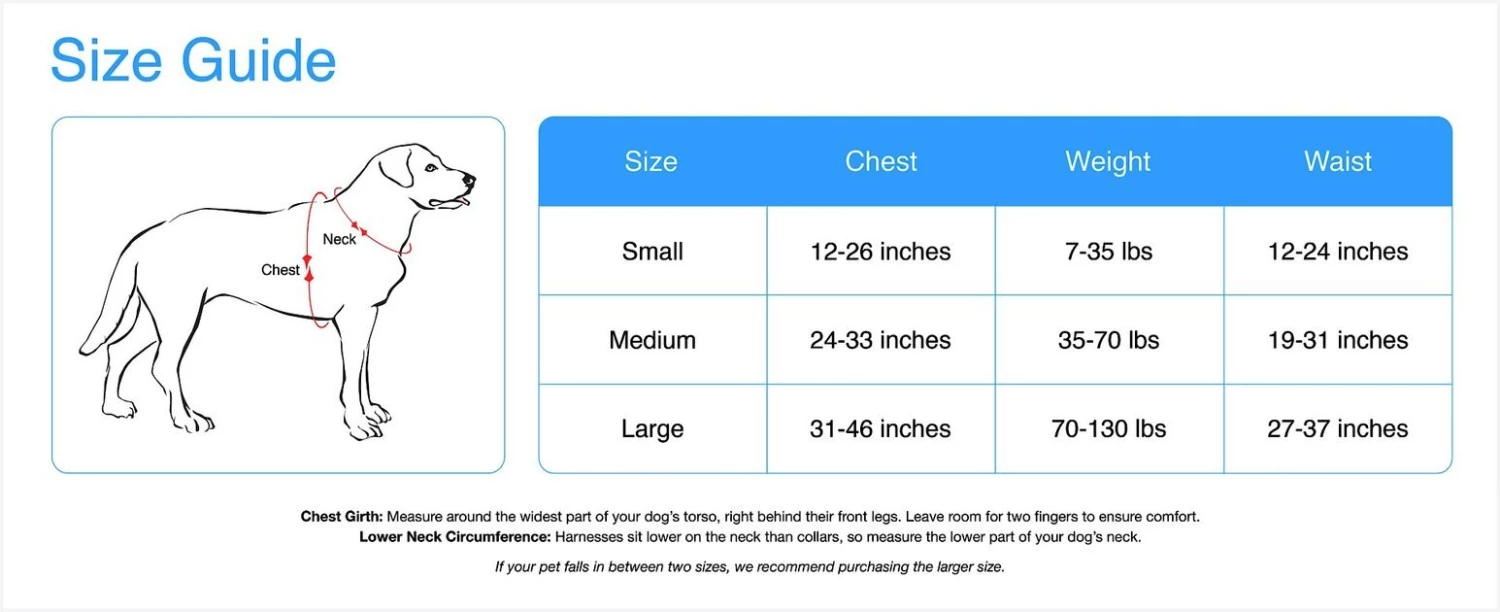 PetSafe CareLift Handicapped Support Dog Harness 2 PetSafe CareLift Handicapped Support Dog Harness - Image 2