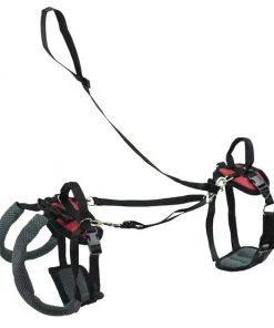 PetSafe CareLift Handicapped Support Dog Harness 7 PetSafe CareLift Handicapped Support Dog Harness -PetSafe Store 166215 PT2. SY630 V1582065872