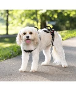 PetSafe CareLift Handicapped Support Dog Harness 8 PetSafe CareLift Handicapped Support Dog Harness -PetSafe Store 166215 PT3. SY630 V1601018189