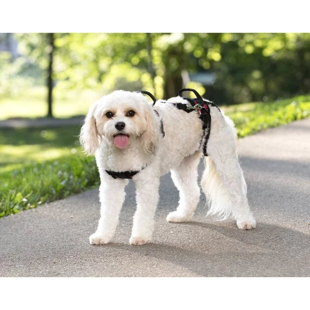 PetSafe CareLift Handicapped Support Dog Harness 4 PetSafe CareLift Handicapped Support Dog Harness - Image 4