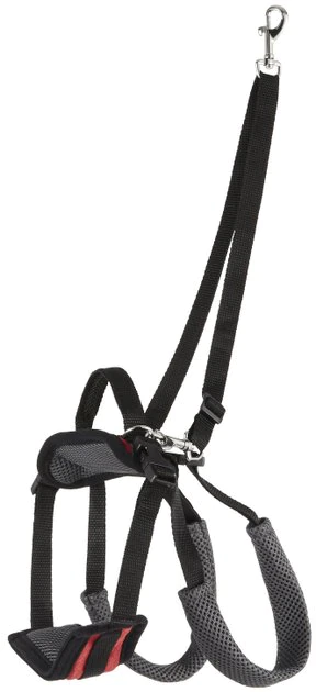 PetSafe CareLift Rear Handicapped Support Dog Harness 1 PetSafe CareLift Rear Handicapped Support Dog Harness