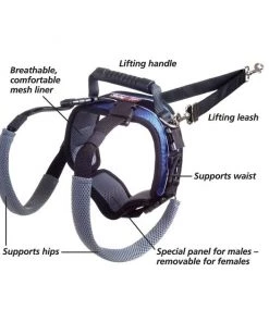 PetSafe CareLift Rear Handicapped Support Dog Harness 9 PetSafe CareLift Rear Handicapped Support Dog Harness -PetSafe Store 166217 PT2. SY630 V1600988499