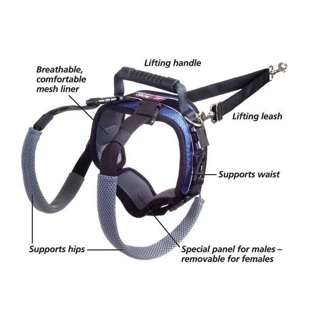 PetSafe CareLift Rear Handicapped Support Dog Harness 3 PetSafe CareLift Rear Handicapped Support Dog Harness - Image 3