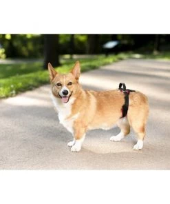 PetSafe CareLift Rear Handicapped Support Dog Harness 10 PetSafe CareLift Rear Handicapped Support Dog Harness -PetSafe Store 166217 PT3. SY630 V1600986086