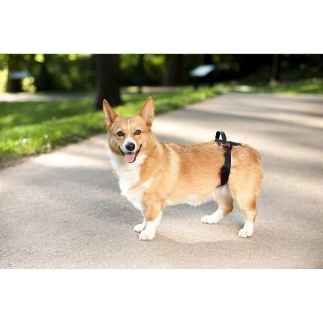 PetSafe CareLift Rear Handicapped Support Dog Harness 4 PetSafe CareLift Rear Handicapped Support Dog Harness - Image 4