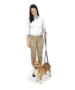 PetSafe CareLift Rear Handicapped Support Dog Harness 12 PetSafe CareLift Rear Handicapped Support Dog Harness -PetSafe Store 166217 PT5. SY630 V1601029865