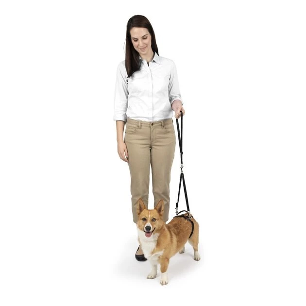 PetSafe CareLift Rear Handicapped Support Dog Harness 6 PetSafe CareLift Rear Handicapped Support Dog Harness - Image 6