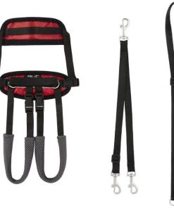 PetSafe CareLift Rear Handicapped Support Dog Harness 13 PetSafe CareLift Rear Handicapped Support Dog Harness -PetSafe Store 166217 PT6. SY630 V1575481794