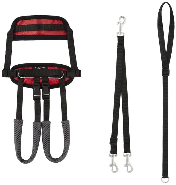PetSafe CareLift Rear Handicapped Support Dog Harness 7 PetSafe CareLift Rear Handicapped Support Dog Harness - Image 7
