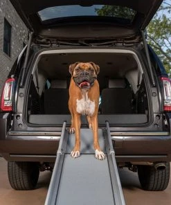 PetSafe Happy Ride Deluxe Compact Telescoping Dog Car Ramp