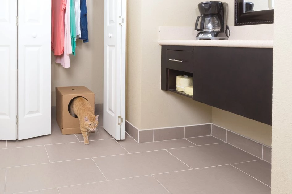 PetSafe Disposable Collapsible Litter Box with ScoopFree Crystal Litter 3 PetSafe Disposable Collapsible Litter Box with ScoopFree Crystal Litter - Image 3