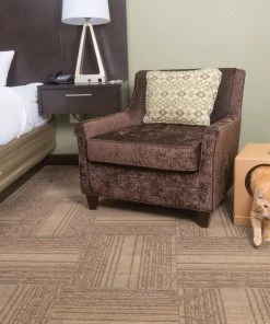 PetSafe Disposable Collapsible Litter Box with ScoopFree Crystal Litter 8 PetSafe Disposable Collapsible Litter Box with ScoopFree Crystal Litter -PetSafe Store 166221 PT3. SY630 V1556575445