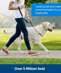 PetSafe Gentle Leader Padded No Pull Dog Headcollar -PetSafe Store 166261 PT2. SY630 V1649479296