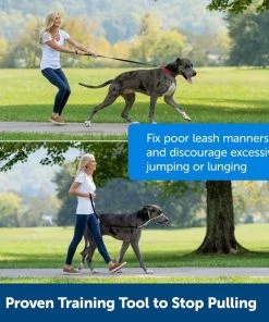 PetSafe Gentle Leader Padded No Pull Dog Headcollar -PetSafe Store 166261 PT4. SY630 V1649463125