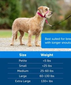 PetSafe Gentle Leader Padded No Pull Dog Headcollar -PetSafe Store 166261 PT5. SY630 V1649483496