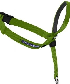 PetSafe Gentle Leader Padded No Pull Dog Headcollar -PetSafe Store 166261 PT6. SY630 V1649485317
