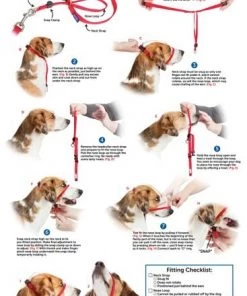 PetSafe Gentle Leader Padded No Pull Dog Headcollar -PetSafe Store 166261 PT7. SY630 V1576168590