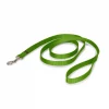 PetSafe Premier Nylon Dog Leash