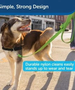 PetSafe Premier Nylon Dog Leash 9 PetSafe Premier Nylon Dog Leash -PetSafe Store 166265 PT3. SY630 V1619996542