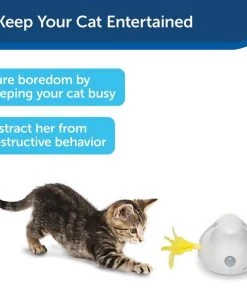 PetSafe Peek-A-Bird Motion Cat Toy -PetSafe Store 181272 PT6. SY630 V1599844562