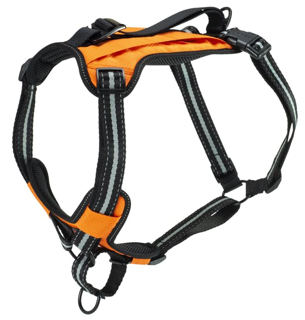 PetSafe Walk Along Nylon Reflective Back Clip Dog Harness 1 PetSafe Walk Along Nylon Reflective Back Clip Dog Harness