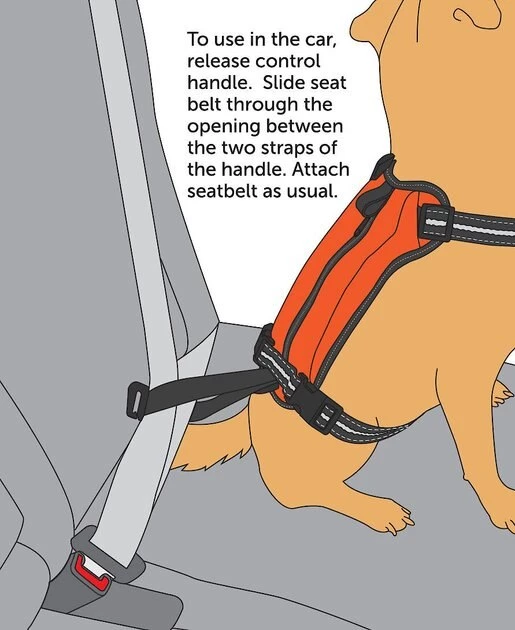 PetSafe Walk Along Nylon Reflective Back Clip Dog Harness 4 PetSafe Walk Along Nylon Reflective Back Clip Dog Harness - Image 4