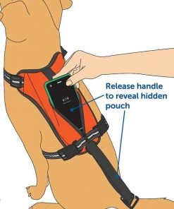 PetSafe Walk Along Nylon Reflective Back Clip Dog Harness 11 PetSafe Walk Along Nylon Reflective Back Clip Dog Harness -PetSafe Store 184970 PT4. SY630 V1584969958