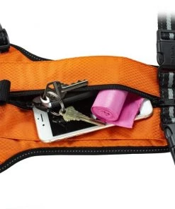 PetSafe Walk Along Nylon Reflective Back Clip Dog Harness 12 PetSafe Walk Along Nylon Reflective Back Clip Dog Harness -PetSafe Store 184970 PT5. SY630 V1584969976