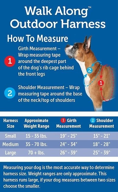 PetSafe Walk Along Nylon Reflective Back Clip Dog Harness 7 PetSafe Walk Along Nylon Reflective Back Clip Dog Harness - Image 7