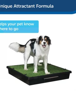 PetSafe Skip To My Loo House Dog Training Scent, 125-ml bottle -PetSafe Store 185264 PT3. SY630 V1619794039