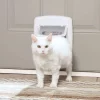 PetSafe 4-Way Locking Cat Door & Tunnel