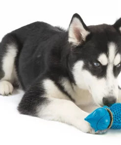 PetSafe Busy Buddy Hedgehog Treat Dispenser Dog Toy -PetSafe Store 185293 PT2. SY630 V1564610878