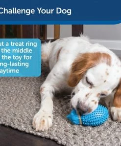 PetSafe Busy Buddy Hedgehog Treat Dispenser Dog Toy -PetSafe Store 185293 PT6. SY630 V1602300363