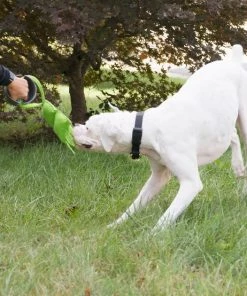 PetSafe Grip 'N Tug Squeak Replacement Tug Dog Toy 5 PetSafe Grip 'N Tug Squeak Replacement Tug Dog Toy -PetSafe Store 185300 PT2. SY630 V1599831077