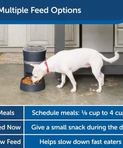 PetSafe Smart Feed 2.0 Wifi-Enabled Automatic Dog & Cat Feeder 10 PetSafe Smart Feed 2.0 Wifi-Enabled Automatic Dog & Cat Feeder -PetSafe Store 191954 PT4. SY630 V1635445296