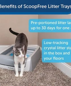 ScoopFree Original Automatic Self-Cleaning Cat Litter Box 15 ScoopFree Original Automatic Self-Cleaning Cat Litter Box -PetSafe Store 201030 PT6. SY630 V1568752428