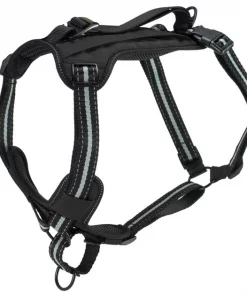 PetSafe Walk Along Nylon Reflective Back Clip Dog Harness