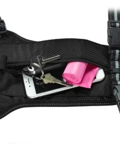 PetSafe Walk Along Nylon Reflective Back Clip Dog Harness -PetSafe Store 201034 PT4. SY630 V1584969751