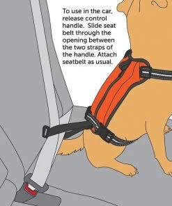 PetSafe Walk Along Nylon Reflective Back Clip Dog Harness -PetSafe Store 201034 PT5. SY630 V1584969752